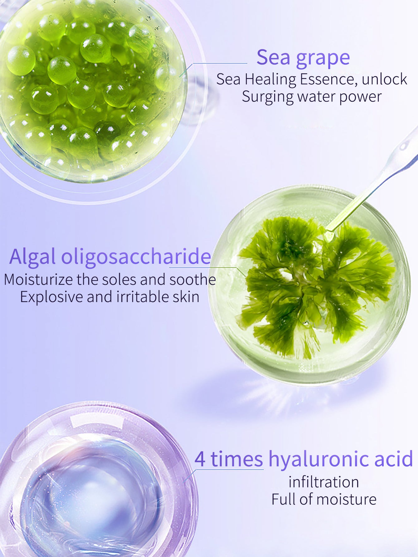 TJE Sea Grape Secondary Infusion Essence