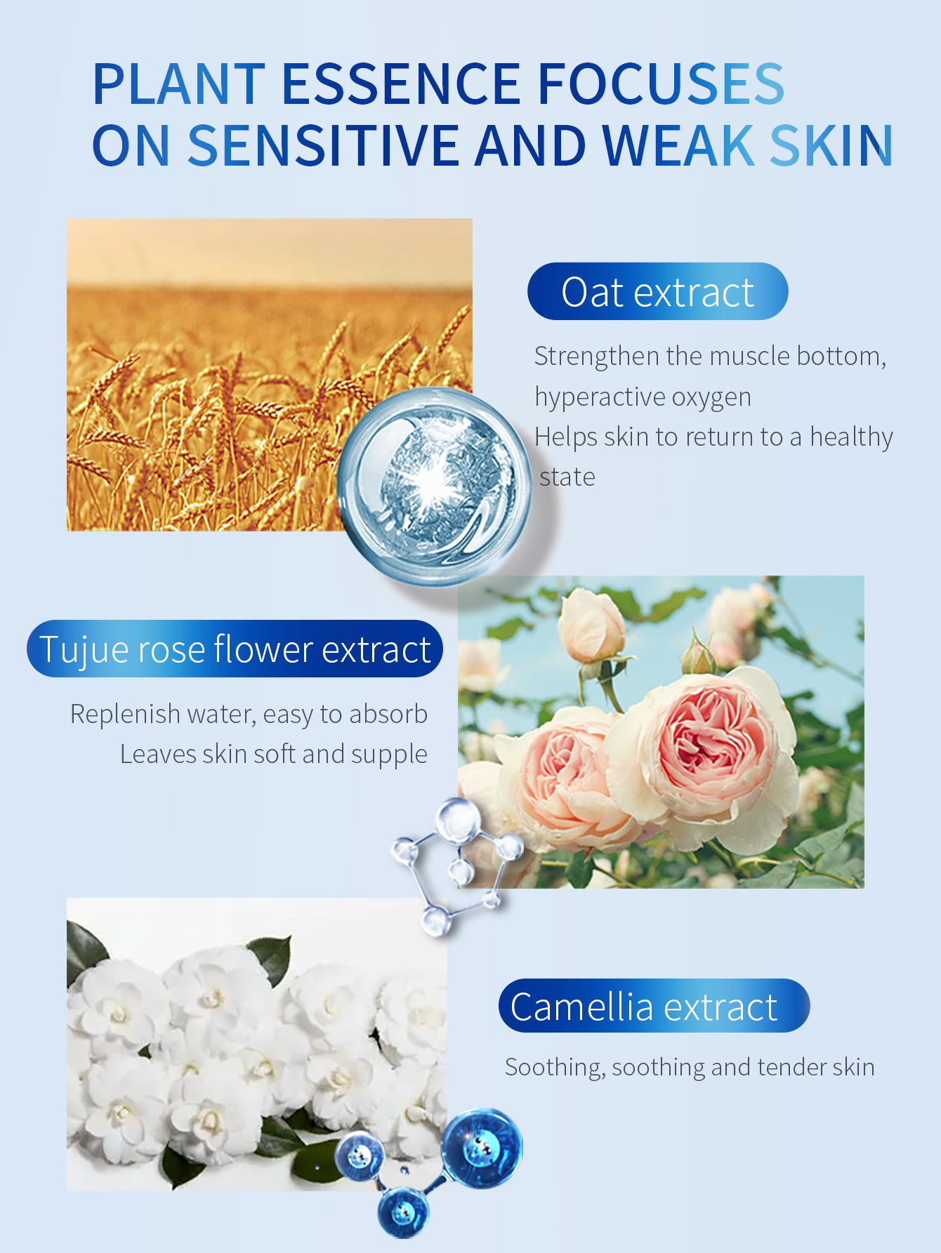 TJE Hyaluronic Acid Essence